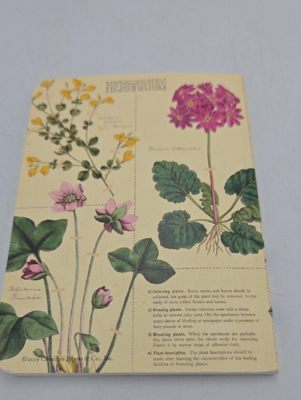 Journal Bundle - Picture 12 of 13